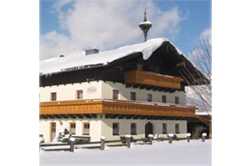 Austria Privát Saalfelden, Esterno